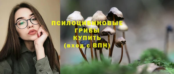 стафф Пестово