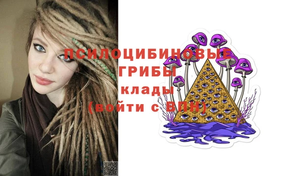 стафф Пестово