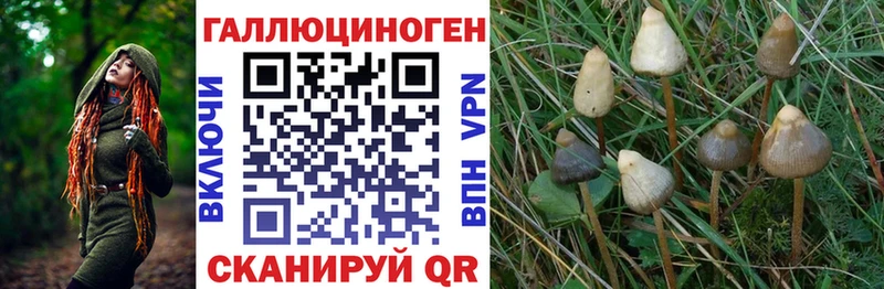 купить закладку  Рыльск  Псилоцибиновые грибы ЛСД 